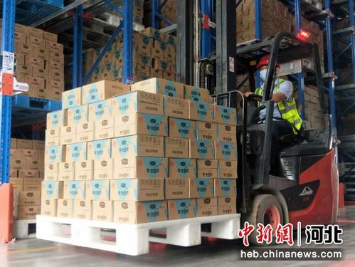 河北威縣依托奶業推進鄉村振興 打造 威縣樣板