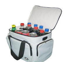 便攜冰包全方位指南 供應渠道、價格、廠家及選購要點